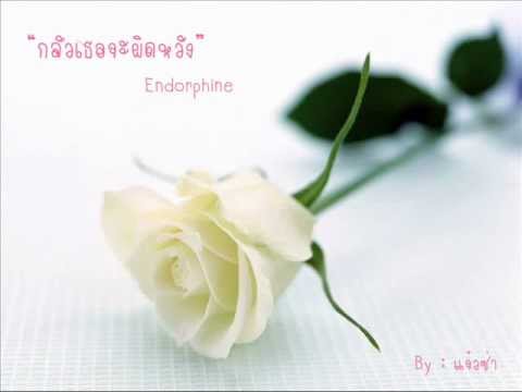 กลัวเธอจะผิดหวัง Endorphine