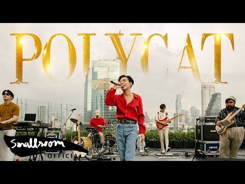 POLYCAT - มานี่มา | MANEEMA [Official MV]