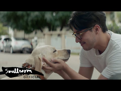 TATTOO COLOUR - รองเท้าเก่า | OLD STUFF | Dog Version [Official MV]