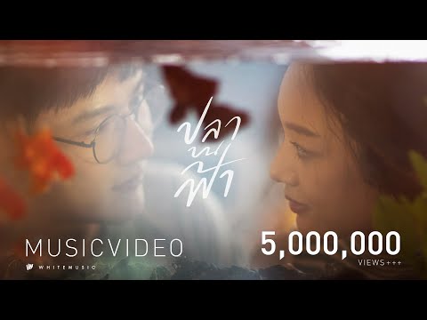 ปลาบนฟ้า - Getsunova [Official MV]