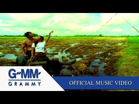 ดูโง่โง่ - เสือ ธนพล 【OFFICIAL MV】