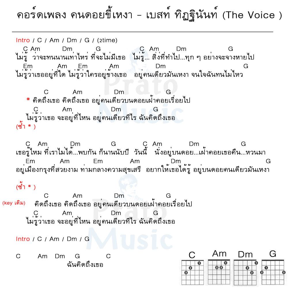 คอร์ดเพลง คนดอยขี้เหงา ง่ายๆ 