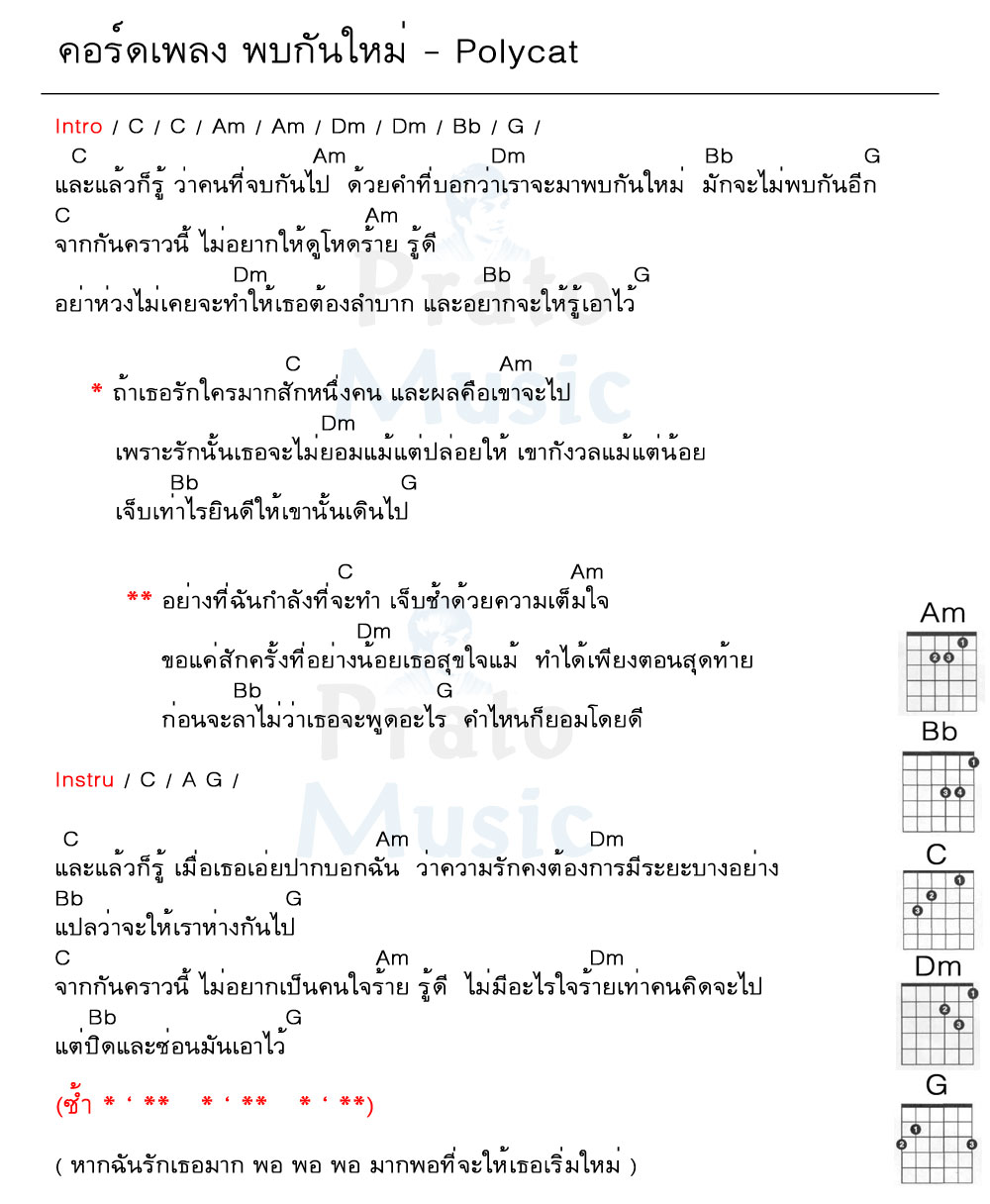 คอร์ดเพลง พบกันใหม่ ง่ายๆ