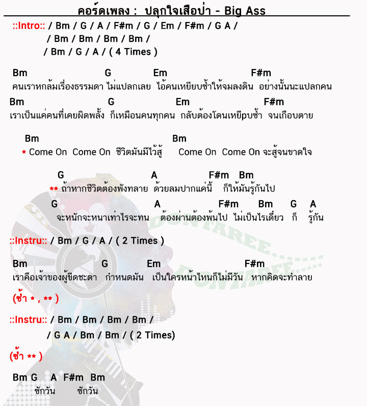 คอร์ดเพลง ปลุกใจเสือป่า ง่ายๆ