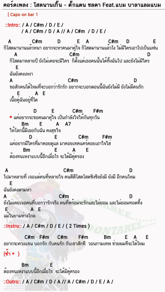 คอร์ดเพลง โสดนานเกิ๊น ง่ายๆ