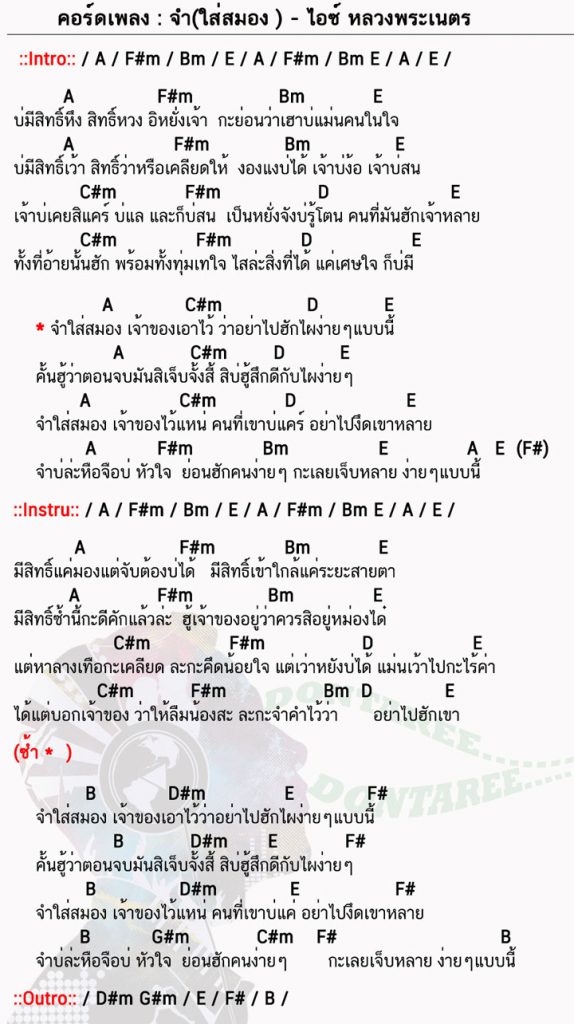 คอร์ดเพลง จำใส่สมอง ง่ายๆ