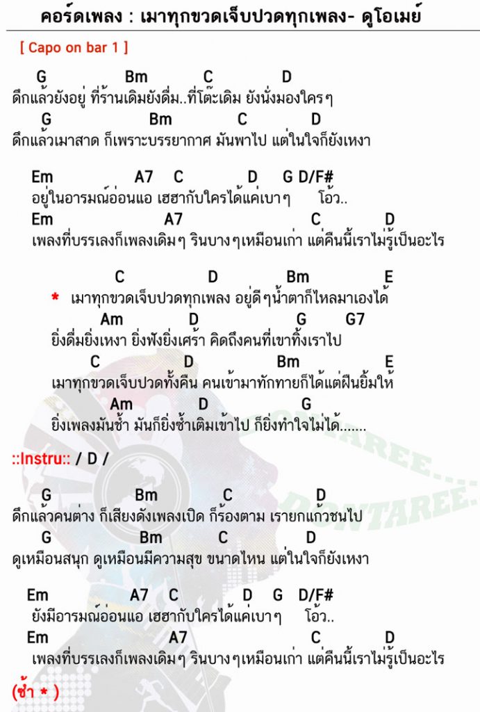 คอร์ดเพลง เมาทุกขวดเจ็บปวดทุกเพลง